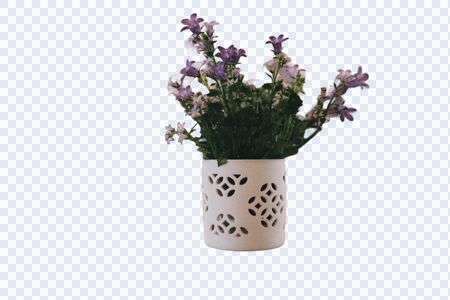 After: background removed, full resolution, ready to use