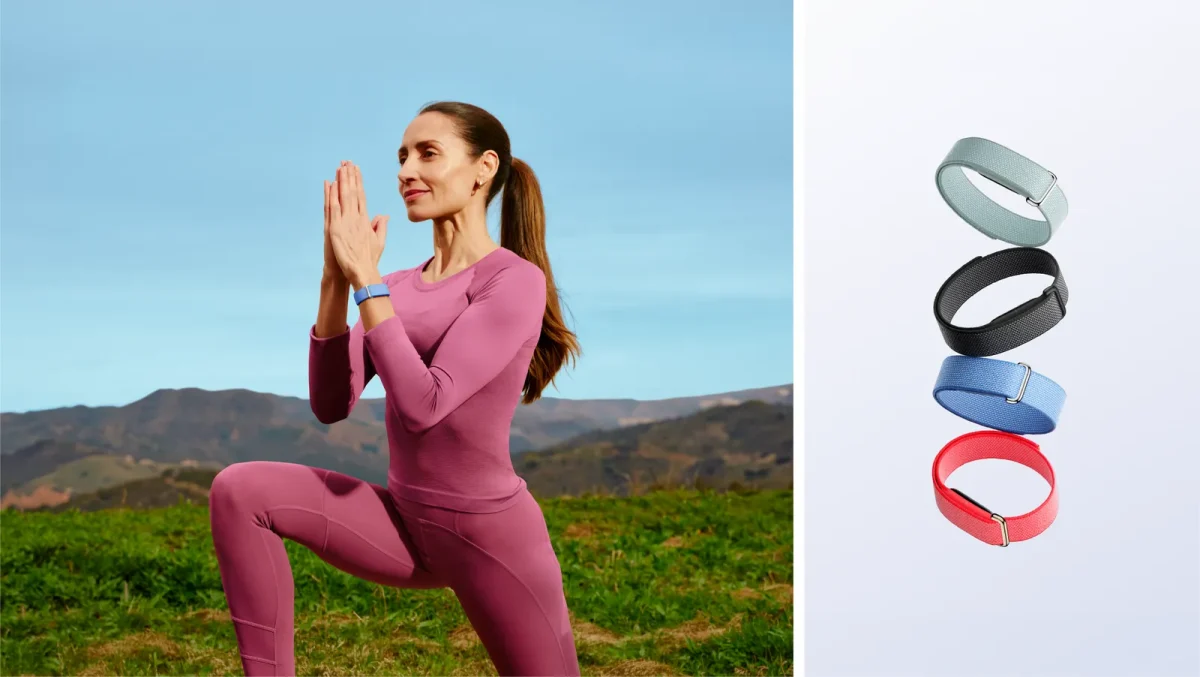 Google Fitbit Air