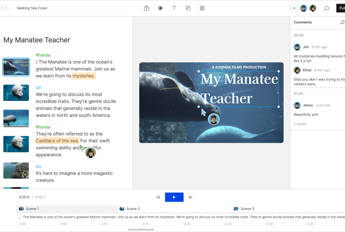 The Descript editor