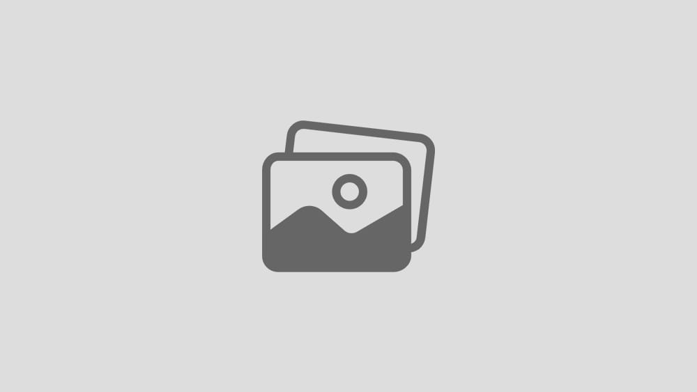 The Gamma editor